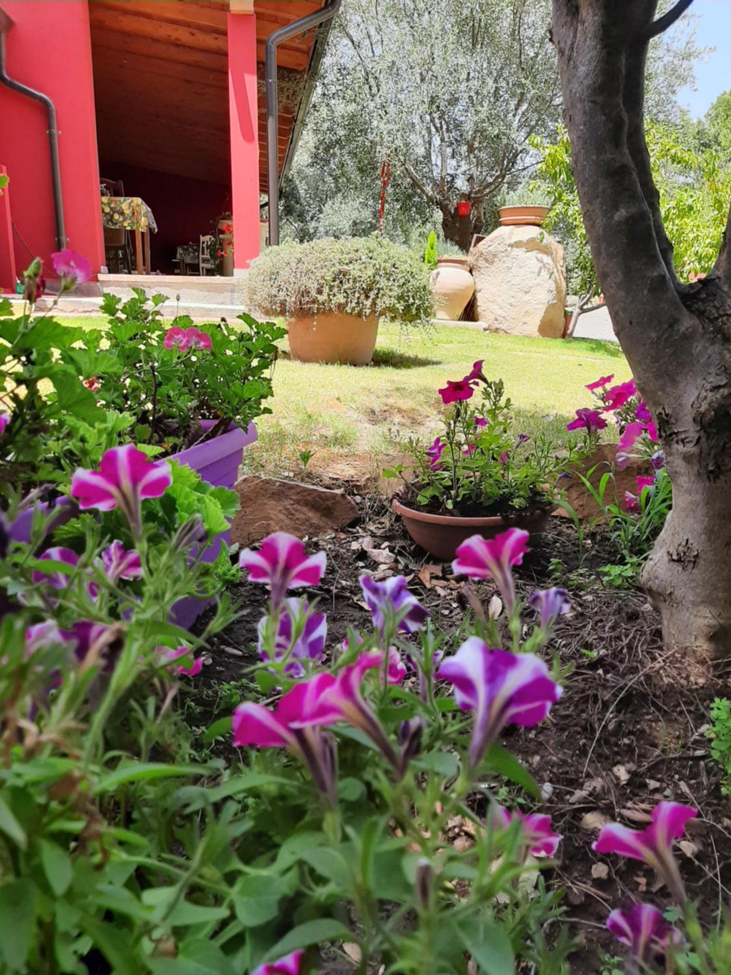 B&B Su Frascu Segau Teulada Exterior photo