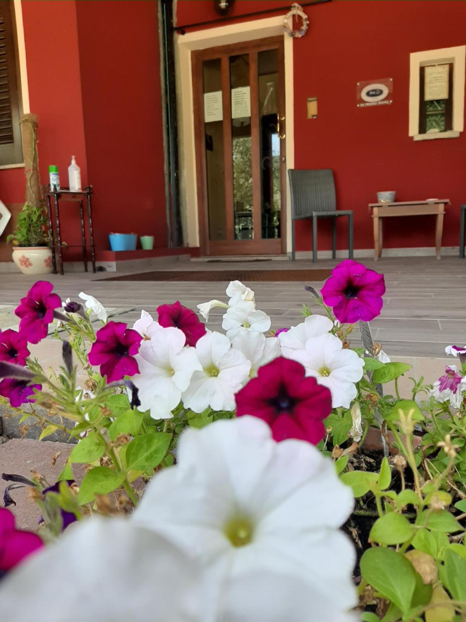 B&B Su Frascu Segau Teulada Exterior photo