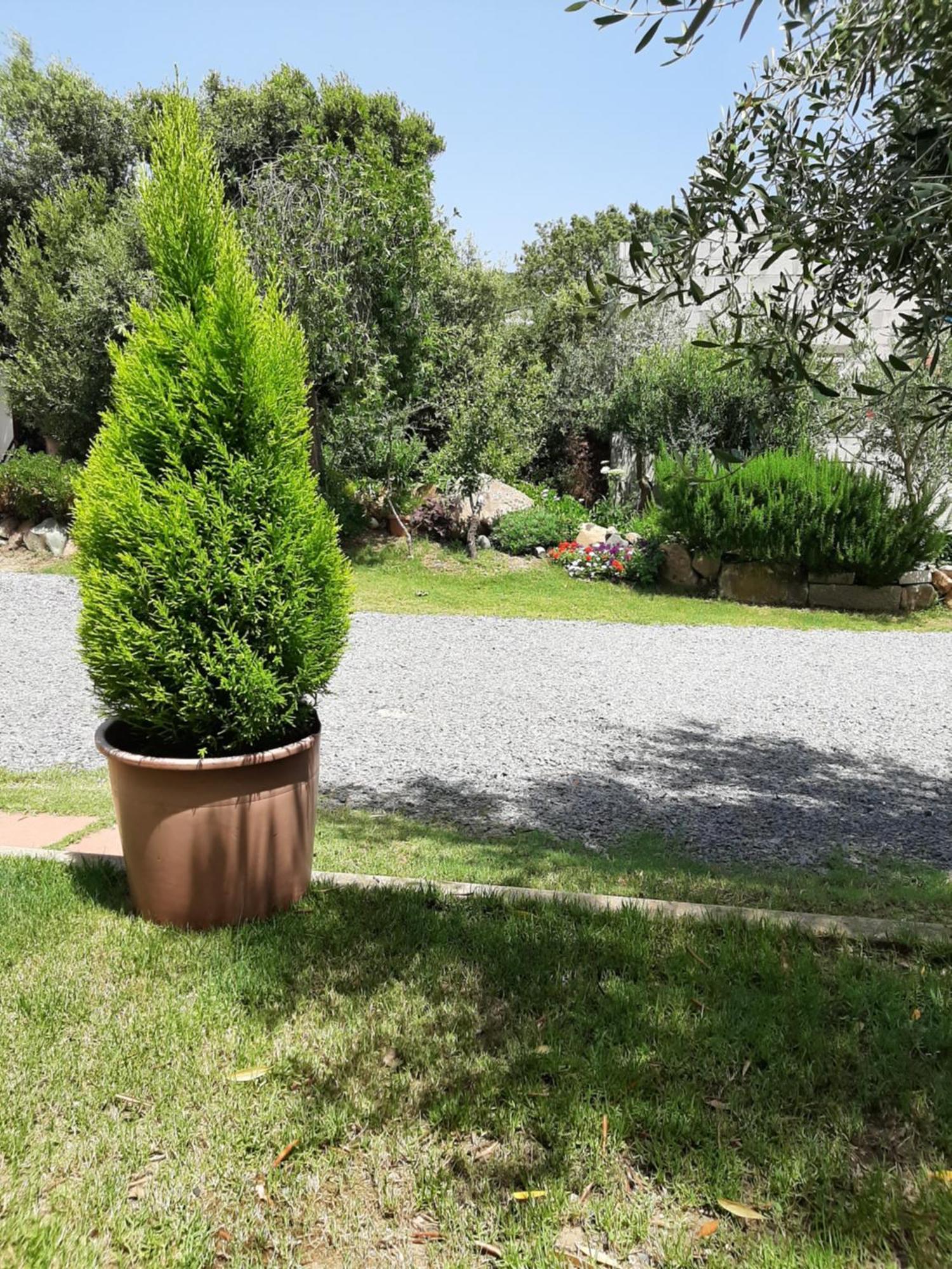 B&B Su Frascu Segau Teulada Exterior photo