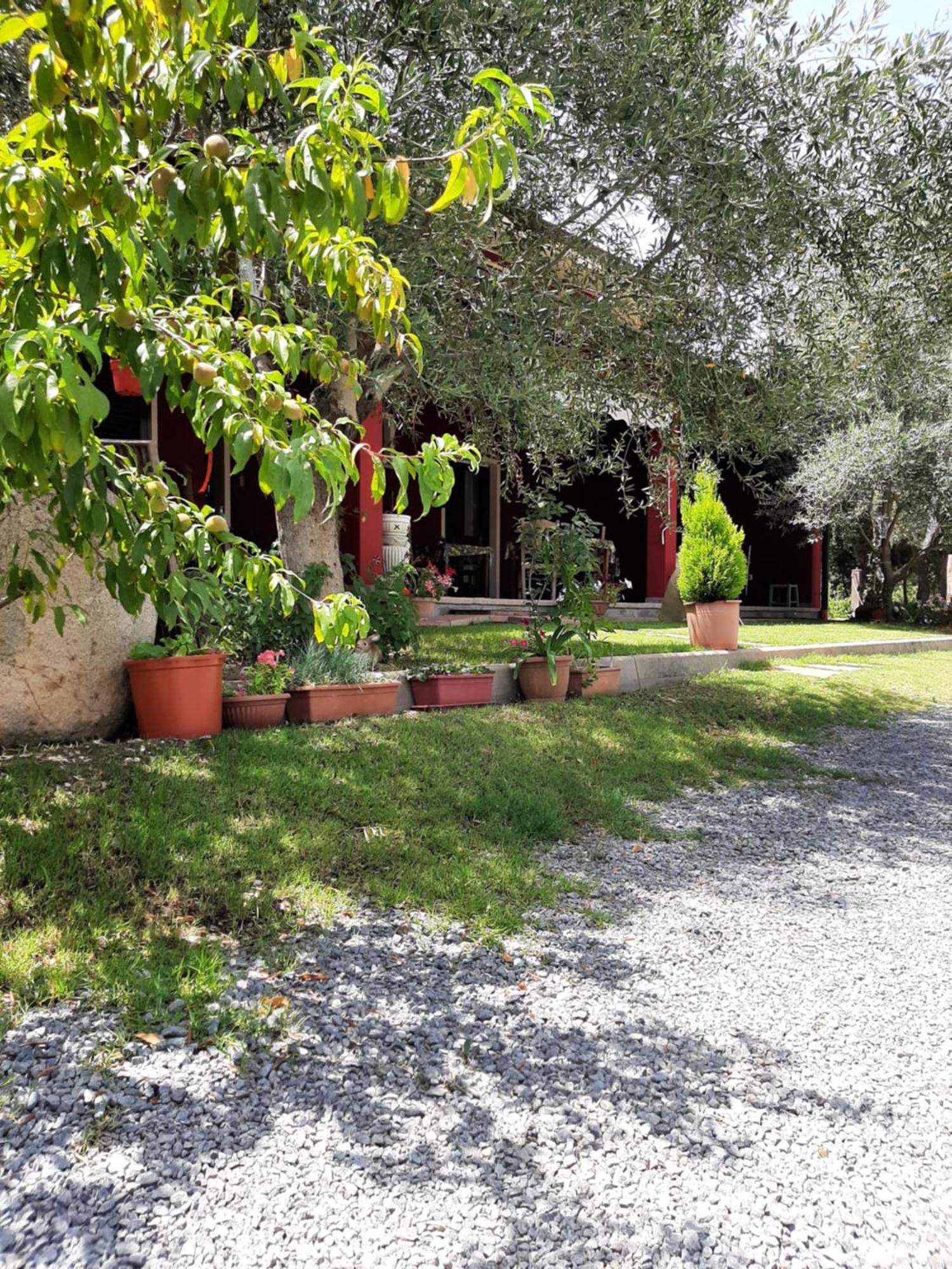 B&B Su Frascu Segau Teulada Exterior photo