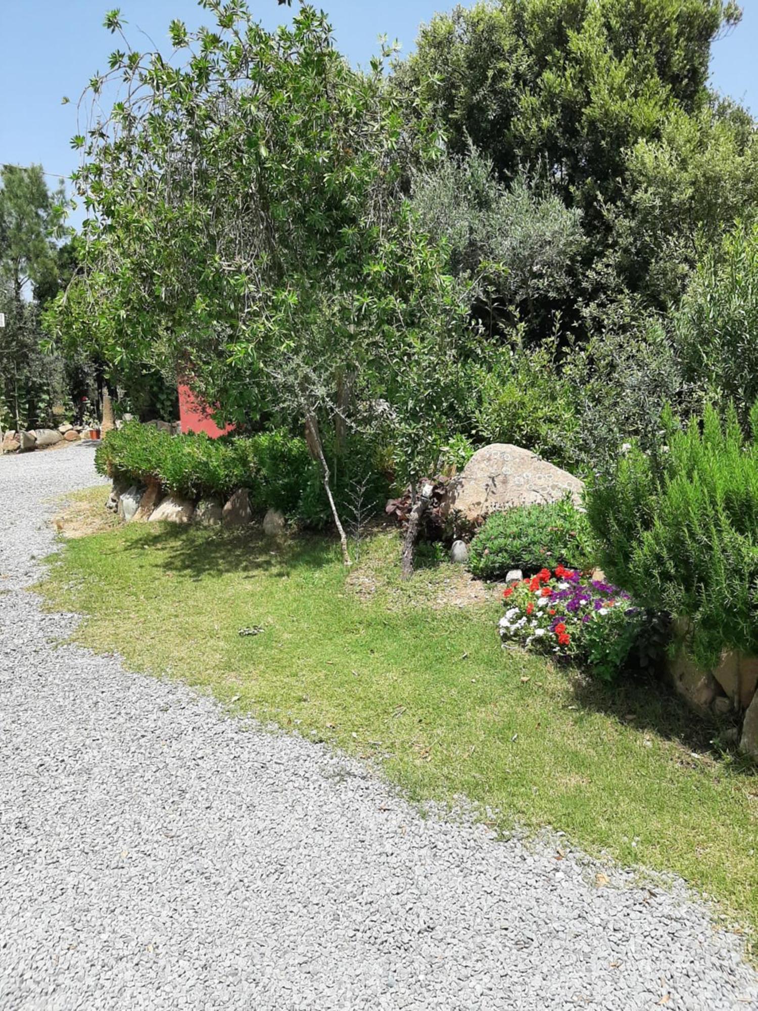 B&B Su Frascu Segau Teulada Exterior photo